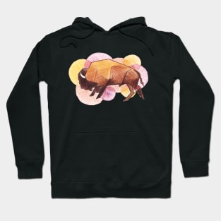 Colorful Buffalo Running Hoodie